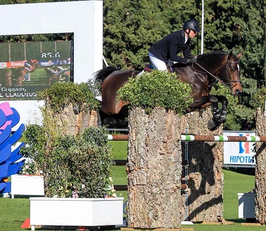 North Brook End Stud - Showjumping Stallions At Stud
